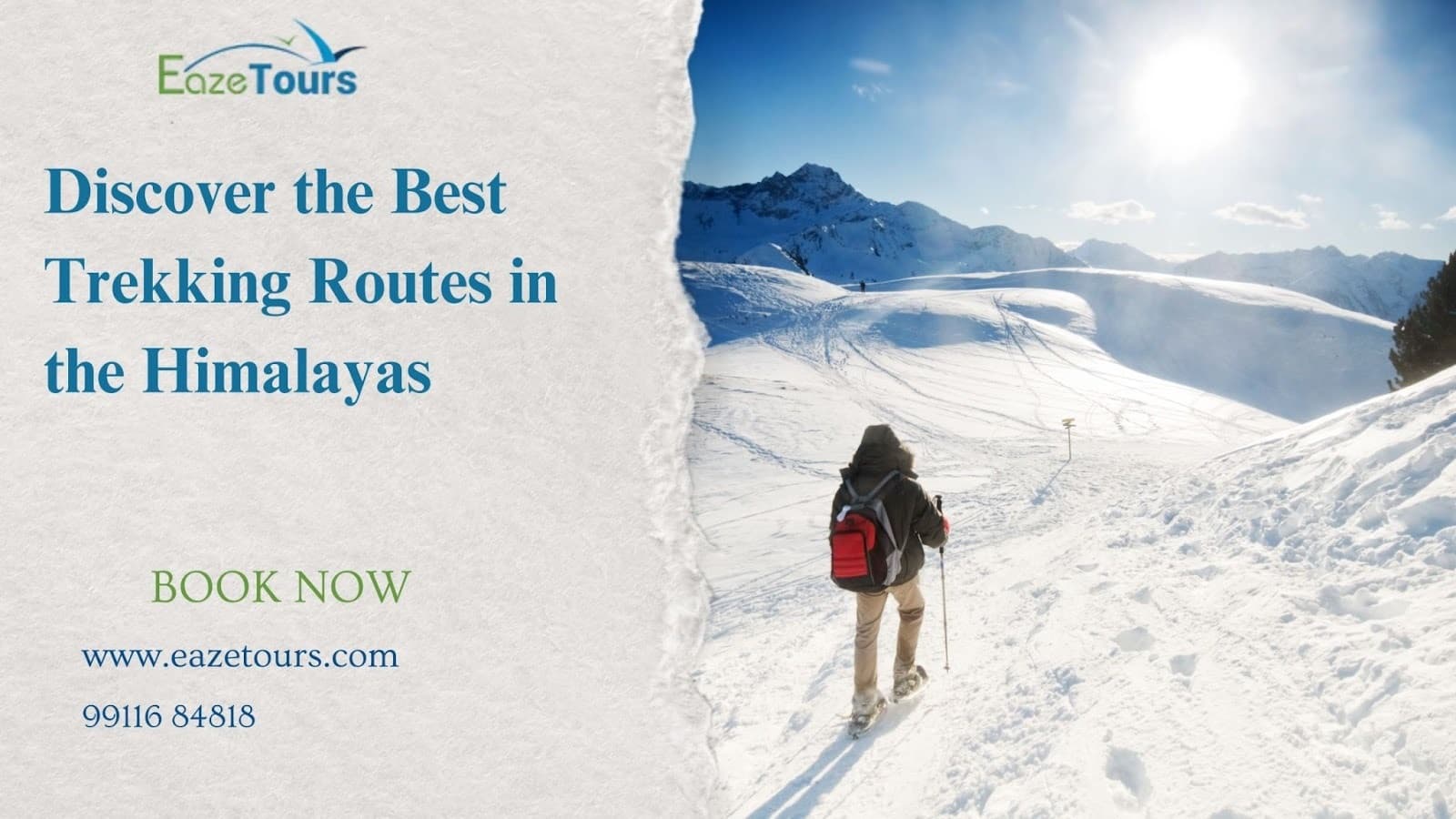 Best Himalayan Treks Guide | Eaze Tours Adventures